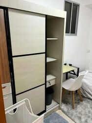 The Lakefront Residences (D22), Condominium #462986661